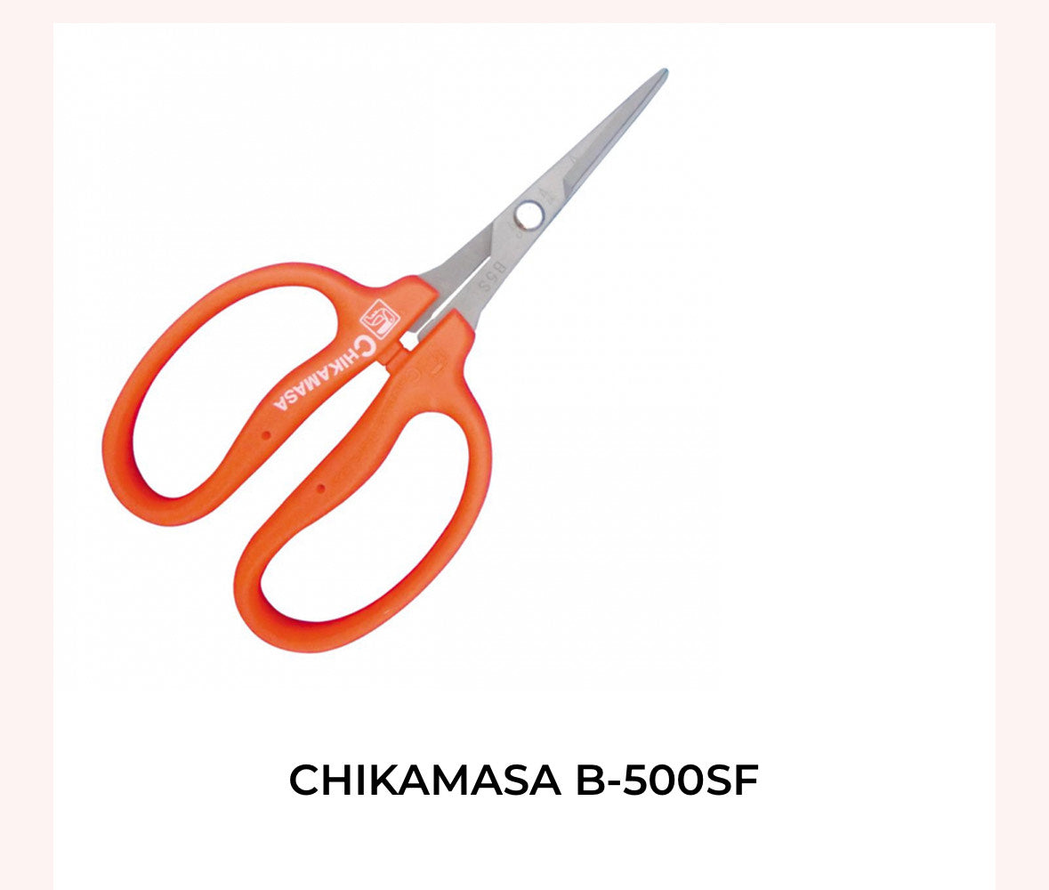 Tesoura Chikamasa - CRI 550 SRF
