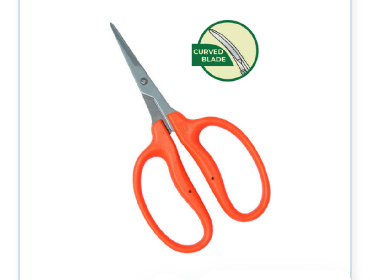 Tesoura Chikamasa - CRI 550 SRF